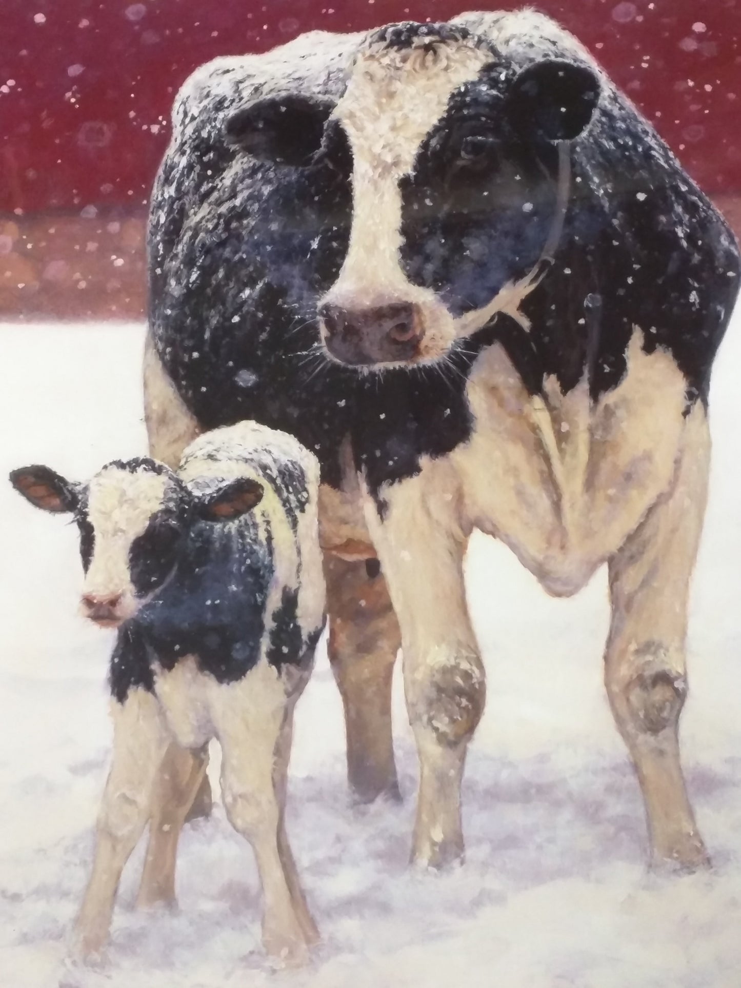 Cow Calf First Christmas Bonnie Mohr Signed Numbered Print